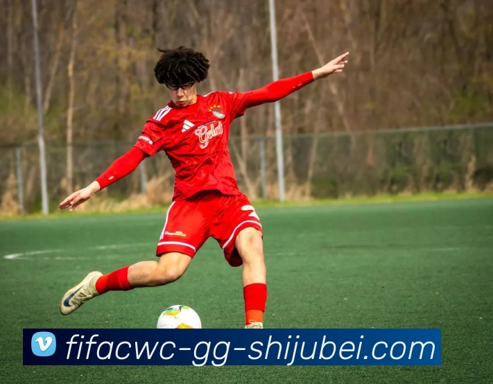 App Interface Preview