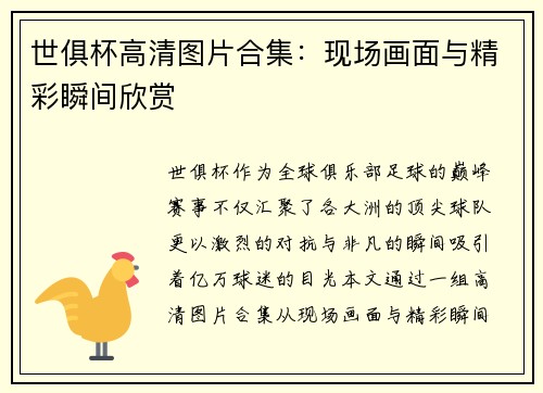世俱杯高清图片合集：现场画面与精彩瞬间欣赏